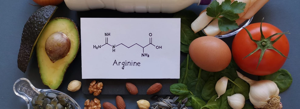 L'acide aminé L-Arginine : découvrez tous ses bienfaits