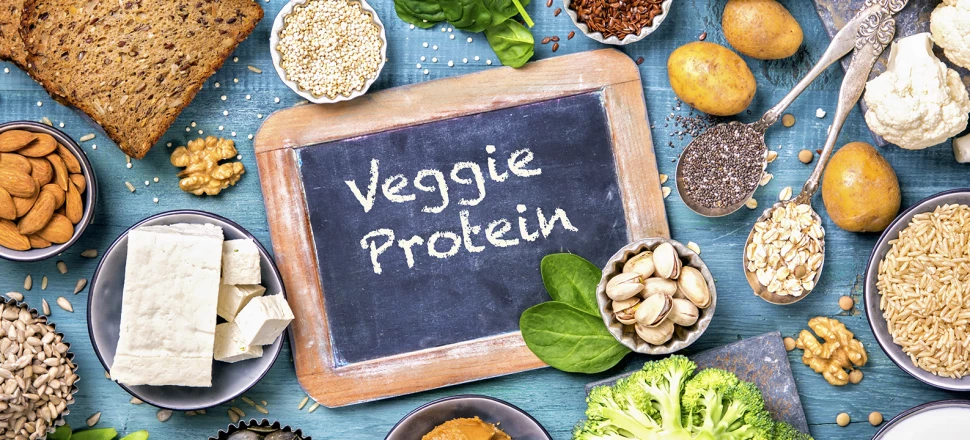 Quelles sont les meilleures sources de protéines végétales?