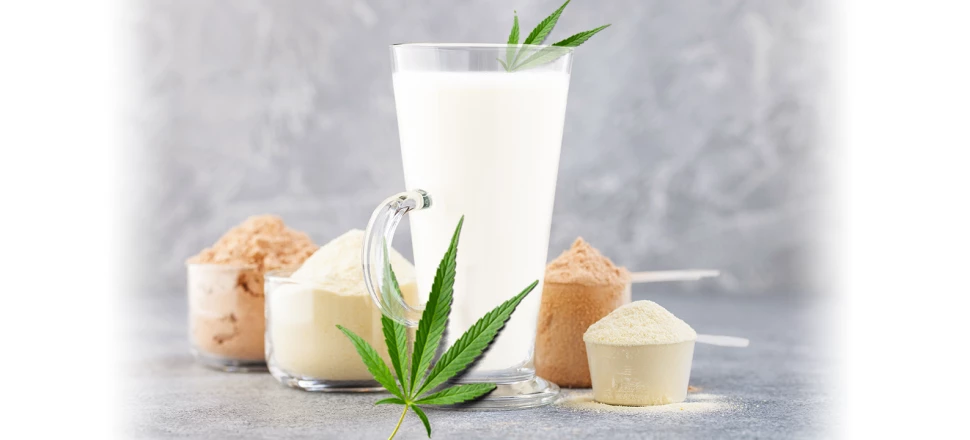 Peut-on mélanger de la whey protéine avec du lait végétal?