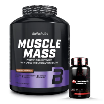 Pack Muscle Mass + My Thermo Shred
